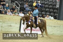 24BUCK_08435 thumbnail