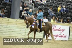 24BUCK_08436 thumbnail