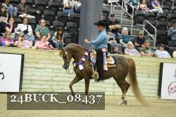 24BUCK_08437 thumbnail