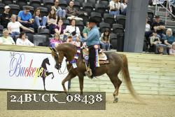 24BUCK_08438 thumbnail