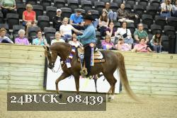24BUCK_08439 thumbnail