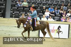 24BUCK_08440 thumbnail