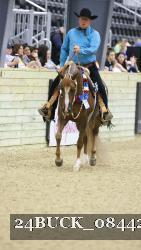 24BUCK_08442 thumbnail