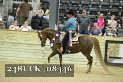 24BUCK_08446 thumbnail