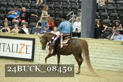 24BUCK_08450 thumbnail