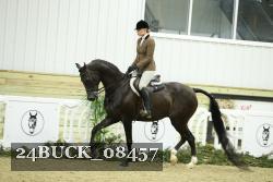 24BUCK_08457 thumbnail