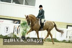 24BUCK_08459 thumbnail