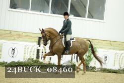 24BUCK_08460 thumbnail