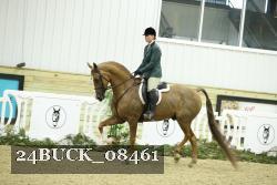 24BUCK_08461 thumbnail