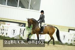 24BUCK_08463 thumbnail