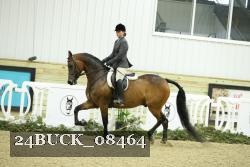 24BUCK_08464 thumbnail
