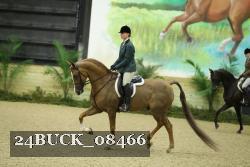 24BUCK_08466 thumbnail