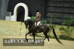 24BUCK_08467 thumbnail