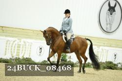 24BUCK_08468 thumbnail