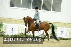 24BUCK_08469 thumbnail
