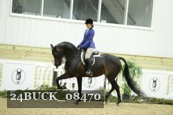24BUCK_08470 thumbnail