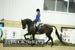 24BUCK_08473 thumbnail