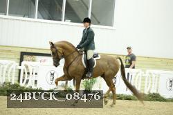 24BUCK_08476 thumbnail