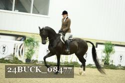 24BUCK_08477 thumbnail
