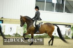 24BUCK_08478 thumbnail