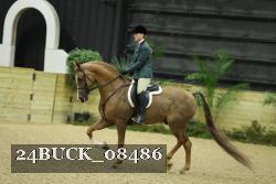 24BUCK_08486 thumbnail