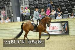 24BUCK_08487 thumbnail
