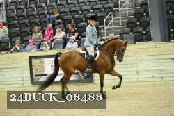24BUCK_08488 thumbnail