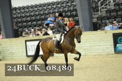 24BUCK_08489 thumbnail