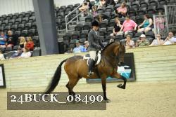 24BUCK_08490 thumbnail