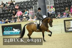 24BUCK_08491 thumbnail