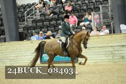 24BUCK_08493 thumbnail