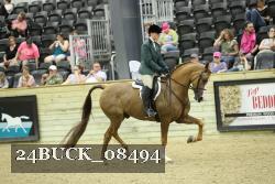 24BUCK_08494 thumbnail