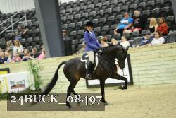 24BUCK_08497 thumbnail
