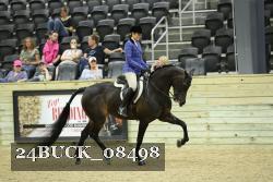 24BUCK_08498 thumbnail