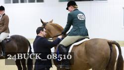 24BUCK_08510 thumbnail