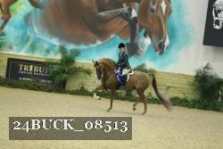 24BUCK_08513 thumbnail