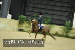 24BUCK_08514 thumbnail
