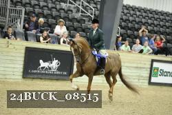 24BUCK_08515 thumbnail
