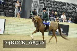 24BUCK_08516 thumbnail