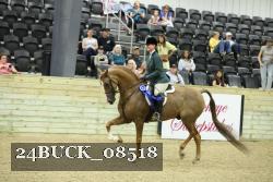 24BUCK_08518 thumbnail