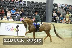 24BUCK_08519 thumbnail