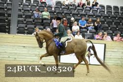 24BUCK_08520 thumbnail