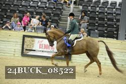 24BUCK_08522 thumbnail