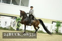 24BUCK_08531 thumbnail