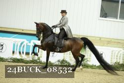 24BUCK_08532 thumbnail