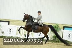 24BUCK_08533 thumbnail