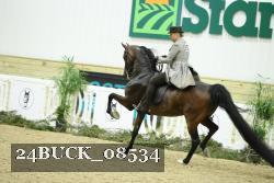 24BUCK_08534 thumbnail