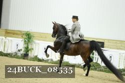 24BUCK_08535 thumbnail