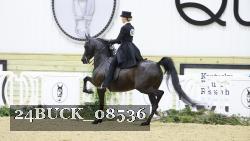 24BUCK_08536 thumbnail