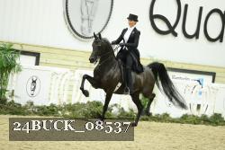 24BUCK_08537 thumbnail